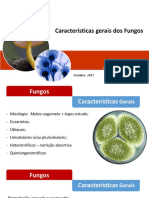 Características-gerais-dos-fungos.pdf