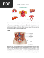 Daftar Nama Alat Musik Indonesia