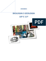 resumo global 10 e 11 geo e bio.pdf