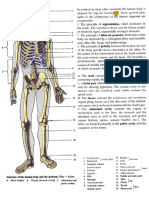 Yokochi.pdf