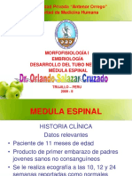 Médula Espinal - Dr. Salazar - Morfofisiología I UPAO