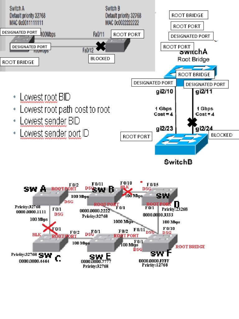 Root Bridge Root Port Root Port PDF