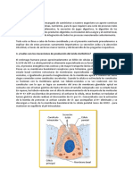 Procesos digestivos: secreción ácida e intestinal