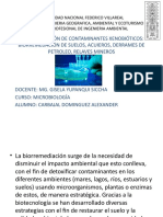 Biodegradacion de Contaminantes