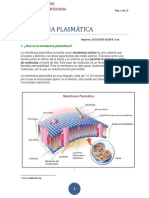 04 MEMBRANA PLASMÁTICA.docx