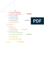 REPARTICIOS DE TEMAS, buscar mas info, neuroanatomia tractos dia 13.docx