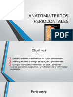 Periodoncia