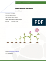 MCalymayor - Crecimiento y Desarrollo de Las Plantas PDF