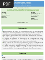 Animal (Digestao) final.pptx