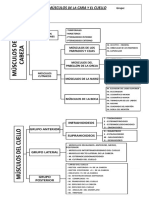 PDF 2019-1 Taller Músculos Cara y Cuello