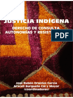 Orantes y Burguete (coord.)-Justicia indígena. Derecho de consulta, autonomias y resistencias