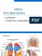 P Respiratorni Sistem