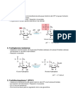 Resumen-reacciones-metabolismo-Santi-12-13.pdf