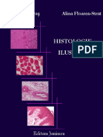 Histologie ilustrata - Adriana Grigoras.pdf