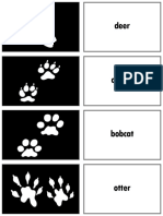 Animal Track Cards PDF