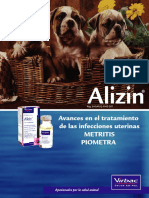 AlizinDiptico PDF