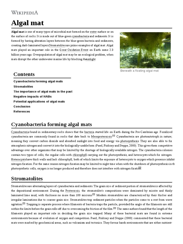 Algal Mat PDF Organisms Earth Sciences