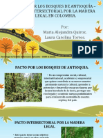 Pacto Por Los Bosques de Antioquía - Pacto Intersectorial Por La Madera Legal en Colombia.