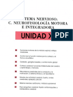 991957144.Unidad XIa (1).pdf