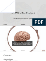 Neuroanatomy: and The Peripheral Nervous System