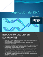 7-ReplicaciondelDNA3Eucariotas.pdf