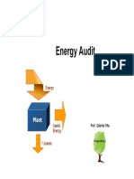 Energy Audit 2013 PDF