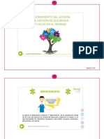 Memoria-Módulo 5 - Mejoramiento Del Sistema de Gestión de Seguridad y Salud en El Trabajo