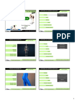 Anatomia-do-Sistema-Muscular-no-Curso-de-Flexibilidade-e-Alongamento.pdf