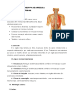 3_Medula_espinhal.pdf