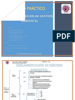 Trabajo Practico Ecologia Reglamentacion de Gestion Ambiental PDF