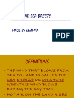 Land and Sea Breeze Explained