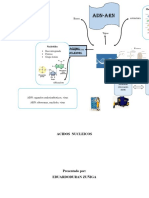 ACIDOS  NUCLEICOS.docx