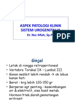 Aspek Patologi Klinik Sistem Urogenitalia: Dr. Nur Afiah, SP - PK