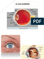 Metodos de examen de agudeza visual (10).pptx