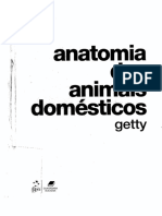 ANATOMIA DOS ANIMAIS DOMÉSTICOS getty 1.pdf