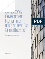 Lean Six Sigma Black Belt Program