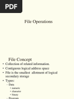 File Operations PDF