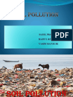 Soil Pollution Sarava