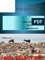 Soil Pollution Sarava