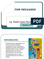 Clase 3.Sector Pecuario.actualizado