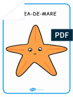 animale marine.pdf