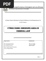 cyber crime-emerging area in criminal law.docx