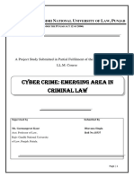 Cyber Crime-Emerging Area in Criminal Law