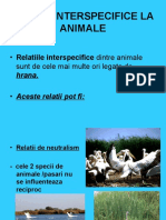 Relatii InterSpecifice la Animale