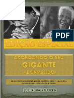 Julio Ginga Mateus - Acordando o Seu Gigante Adormecido.pdf