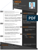 CV Ing PDF