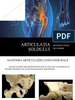 Articulatia Soldului PDF