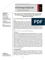 First_report_and_morphological_character.pdf