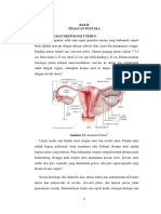Laporan Kasus Endometriosis Bab II