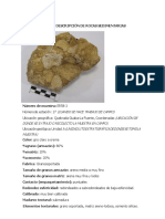 Formato Descripción de Rocas Sedimentarias